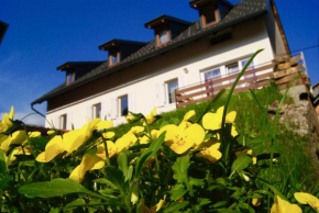 Apartmaji Pri Kokolu Bled